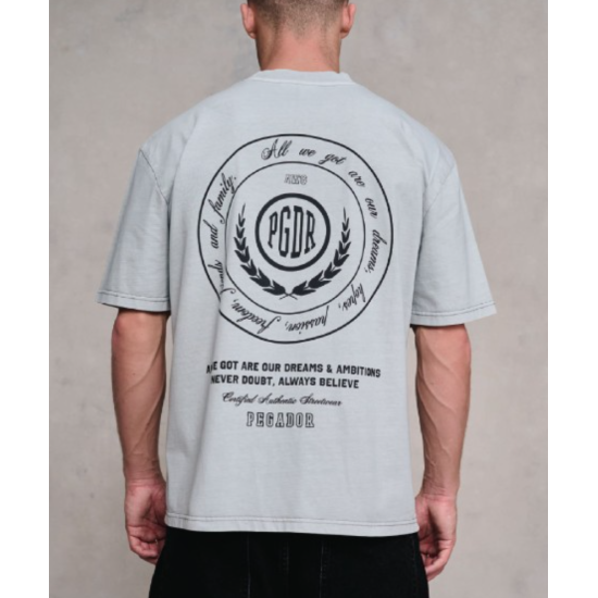 Pegador Sydon Oversized Tee Γκρι