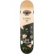GLOBE G1 INSIGNIA 7.75'' MAPLE THORNBUSH SKATE Πολύχρωμο