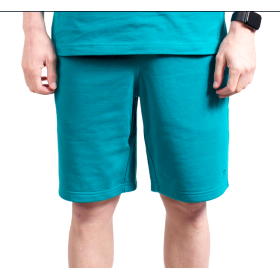 Champion Heavy Cotton Shorts Βεραμάν