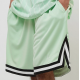 KARL KANI  Small Signature Mesh Shorts Πράσινο