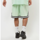 KARL KANI  Small Signature Mesh Shorts Πράσινο