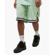 KARL KANI  Small Signature Mesh Shorts Πράσινο