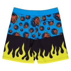 Santa Cruz Delfino Devil Mask Boardshort Πολύχρωμο