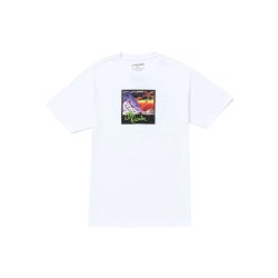 VOLCOM M V ENT THE GARDEN BSC SST T-SHIRT  Άσπρο