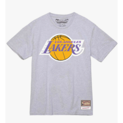  Mitchell & Ness NBA Los Angeles Lakers Team Mens T-shirt