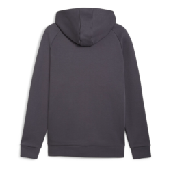 Pumatech FZ Hoodie DK Gray